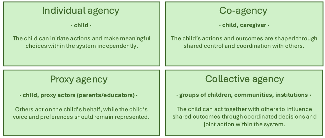 The agency conceptualisation